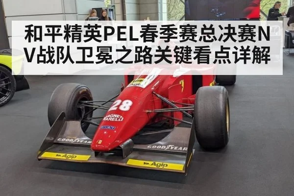 和平精英PEL春季赛总决赛NV战队卫冕之路关键看点详解